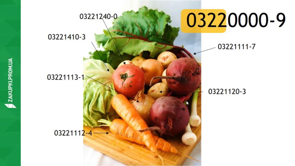 [Вебінар] Загальний огляд системи ProZorro: що необхідно знати для легкого старту