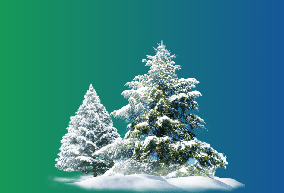 Що нового з’явилося у 2019 році для постачальників?