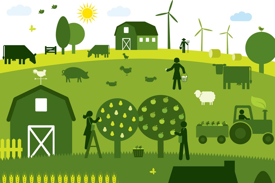 Як продати продукцію сільського господарства оптом