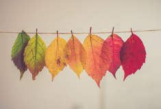 Нові реалії: як компанія WOG адаптувалася до змін