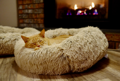 Січень 2021. Новинки для держзамовників