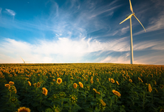 Екологічне маркування першого типу та публічні закупівлі