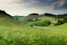 Нові правила оренди землі: відповідаємо на запитання