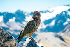 Три найважливіших оновлення 2021 року на майданчику Zakupki.Prom