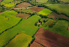 Оренда та купівля землі – нові можливості для учасників