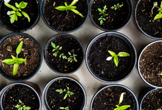 Як впливають закупівлі на сталий розвиток компанії?