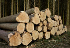 Як взяти участь в аукціоні з продажу державного або комерційного майна