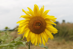 Повертаємось у Prozorro: зміни у Постанові