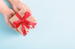 Помічник держзамовника