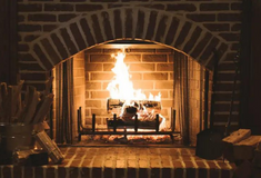 Запитання тижня – Чи можна купити конкретну торгову марку у Prozorro Market?