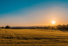 Оновлення в Prozorro Market