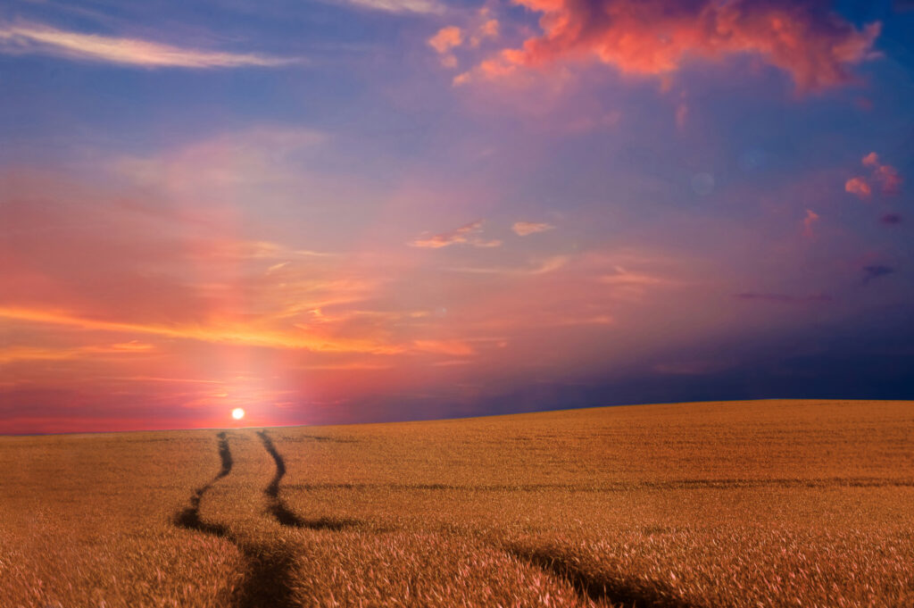 Запитання тижня: вимога у відкритих торгах, переможець не виходить на зв’язок – що робити, кратність упаковки у запиті пропозицій