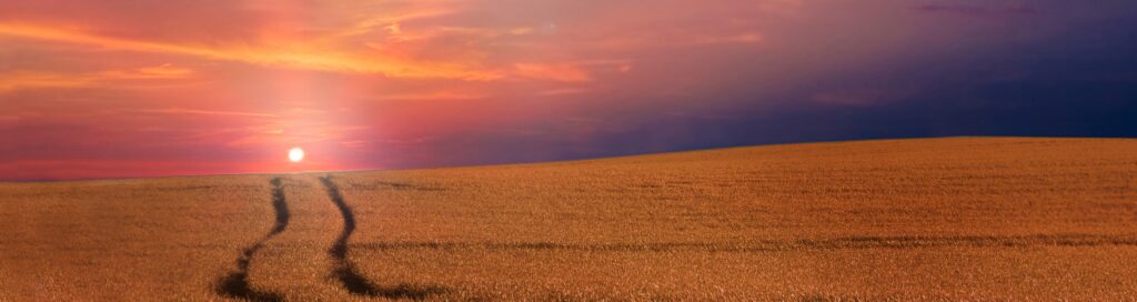 Запитання тижня 7 березня