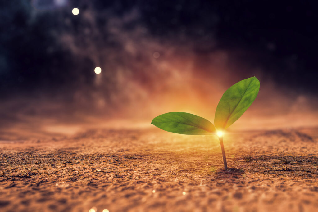 Ефективні закупівлі для благодійних організацій на майданчику Zakupivli.Pro